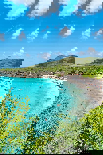 /Grote_Knip-04.jpg